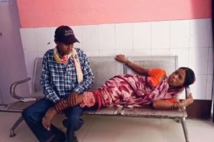 Wild boar attacks villagers who went to collect tendu leaves, three injured