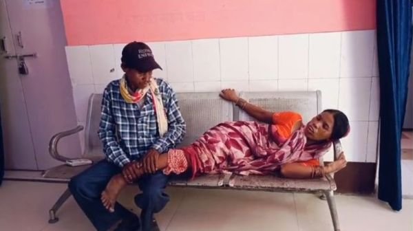 Wild boar attacks villagers who went to collect tendu leaves, three injured