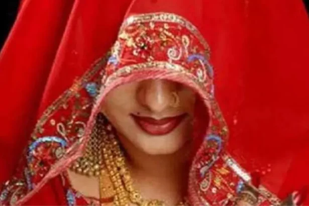 hamirpur dulhan news