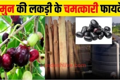 jamun-wood-for-water-purification