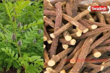 yashtimadhu-health-benefits