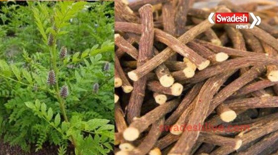 yashtimadhu-health-benefits