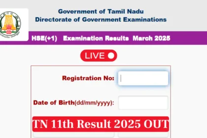 tn results 2025 11th