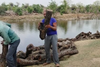 ग्वालियर में तस्करी