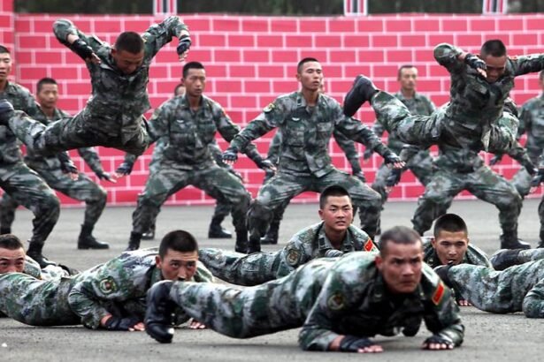 दुनिया की 10 सबसे ताकतवर सेनाएं