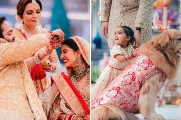 मुकेश अंबानी के प्यारे गोल्डन रिट्रीवर हैप्पी का निधन