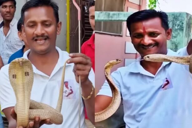 सांपों के मसीहा' की दुखद मौत