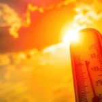 mp-top-10-news-heatwave-alert