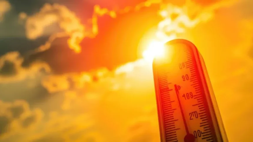 mp-top-10-news-heatwave-alert