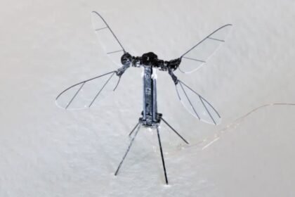 China Mosquito Drone
