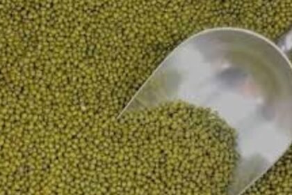 State government is committed to ensure fair price to farmers for their crops: Chief Minister Dr. Yadav