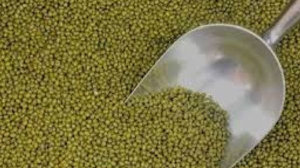 State government is committed to ensure fair price to farmers for their crops: Chief Minister Dr. Yadav