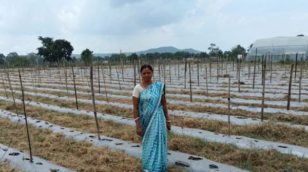 An example of self-reliance: Sumitra Devi created history of self-reliance