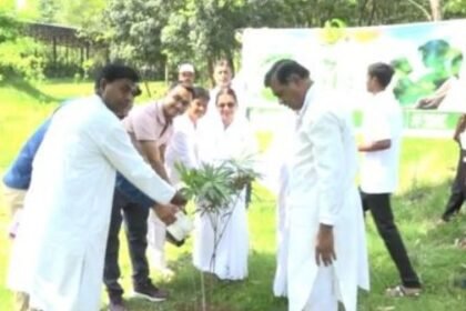 Brahma Kumari organization celebrated World Environment Day in Korba