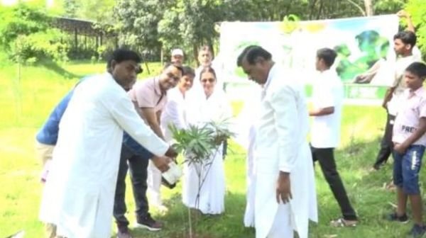 Brahma Kumari organization celebrated World Environment Day in Korba