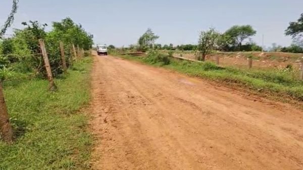 Dhamtari: Rudri-Sankara road constructed at a cost of 12 crores becomes dilapidated in just 4 years