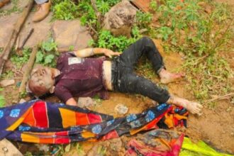 Durg: Mother and son brutally murdered and their bodies thrown in a well