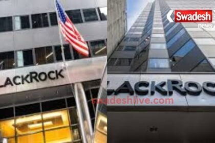blackrock-investment-strategy-lessons