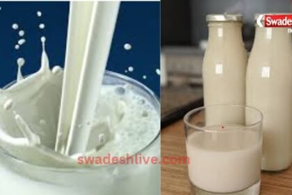 World Milk Day 2025
