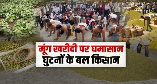 मंडियों में किसानों को 'मूंग' का मिलेगा उचित दाम!!! लाचार किसानों के लिए मुख्यमंत्री डॉ. मोहन यादव का बड़ा ऐलान