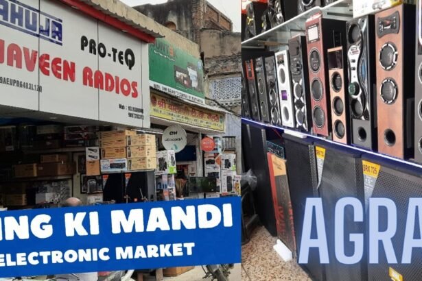 आगरा की हींग की मंडी