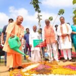 उत्तर प्रदेश वृक्षारोपण अभियान 2025