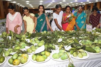 मांडर में आम महोत्सव और बागवानी मेला