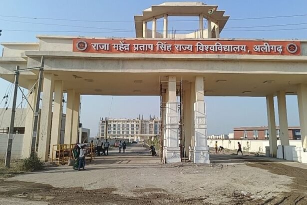 राजा महेंद्र प्रताप सिंह विश्वविद्यालय छात्रवृत्ति