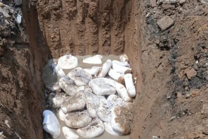 आगरा में 8 कुंतल सड़ा पनीर बरामद: मक्खी-मच्छर पाए गए, FSDA ने किया नष्ट