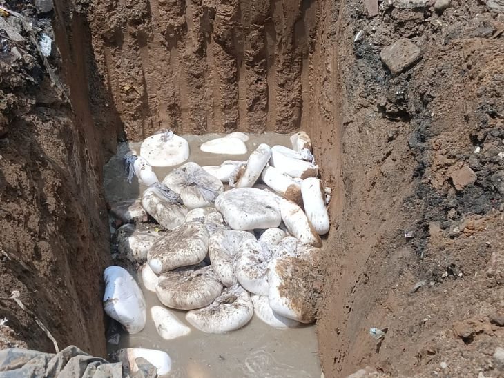 आगरा में 8 कुंतल सड़ा पनीर बरामद: मक्खी-मच्छर पाए गए, FSDA ने किया नष्ट