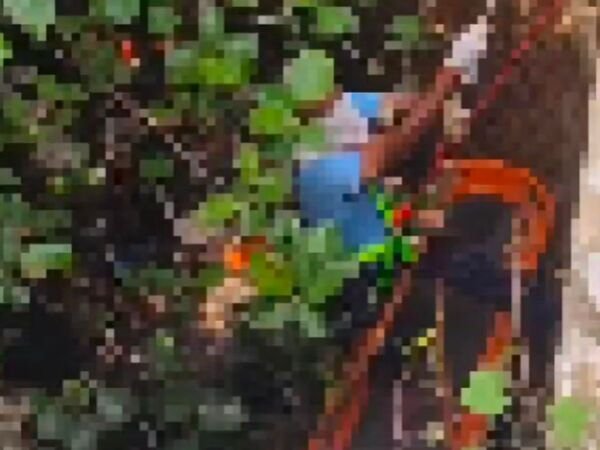 ग्वालियर में कुएं से मिली 10 दिन पुरानी लाश: हत्या की गुत्थी सुलझाने में जुटी पुलिस