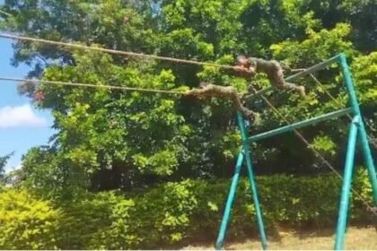 ‘Training demo’ of monkeys at Kanker Junglewar College: Video goes viral