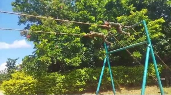 ‘Training demo’ of monkeys at Kanker Junglewar College: Video goes viral