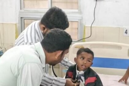 Bhanupratappur: Bees attack children going to Anganwadi, four injured