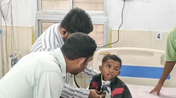Bhanupratappur: Bees attack children going to Anganwadi, four injured