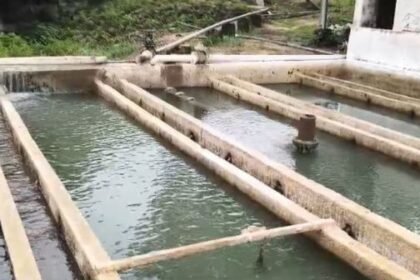 Big crisis of drinking water in Katkona Colliery