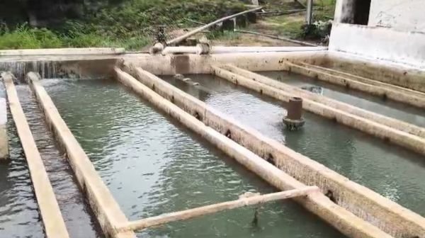 Big crisis of drinking water in Katkona Colliery