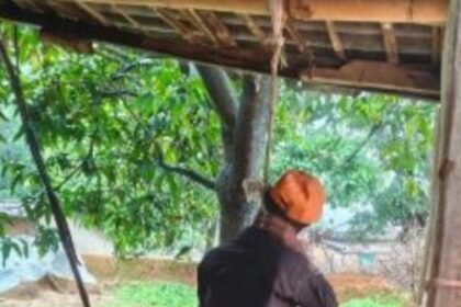 Raigarh: A young man was found hanging from a noose in the veranda of his in-law's house