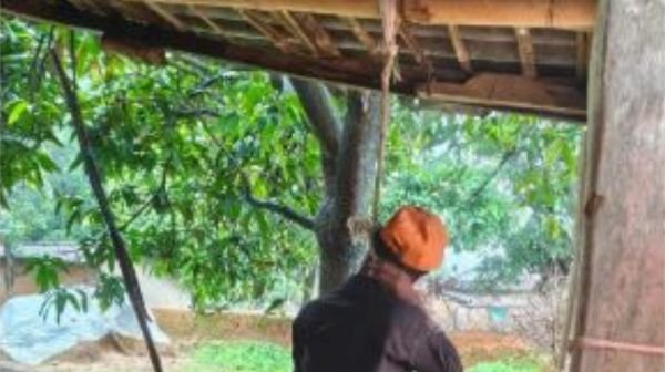 Raigarh: A young man was found hanging from a noose in the veranda of his in-law's house