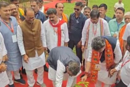 Mainpat: BJP training camp, Shivraj Singh Chauhan planted trees