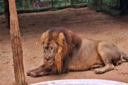 झारखंड की आज की 25 बड़ी खबरें: 5 जुलाई 2025 की प्रमुख झारखंड न्यूज़