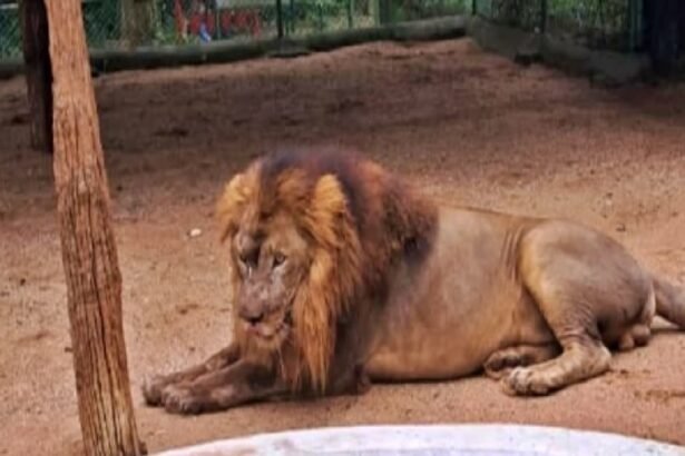 झारखंड की आज की 25 बड़ी खबरें: 5 जुलाई 2025 की प्रमुख झारखंड न्यूज़