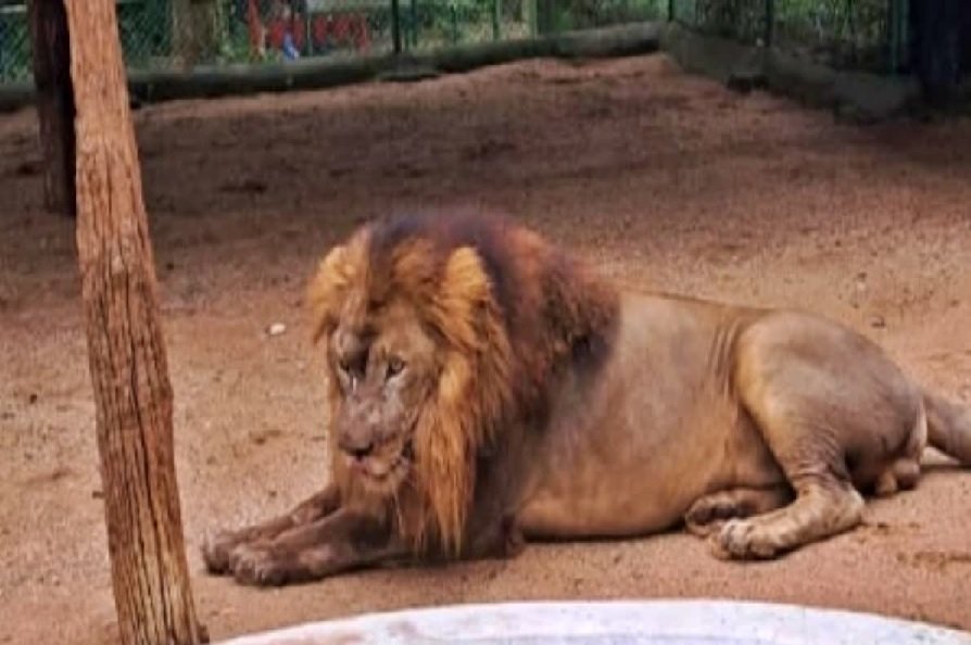 झारखंड की आज की 25 बड़ी खबरें: 5 जुलाई 2025 की प्रमुख झारखंड न्यूज़