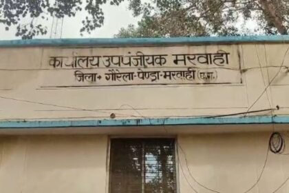 Marwahi: Revenue department's fake registry scam