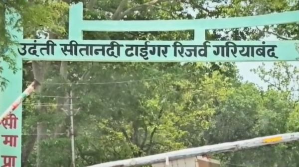 Illegal grazing of more than 4000 sheep and goats in Udanti-Sitanadi Tiger Reserve