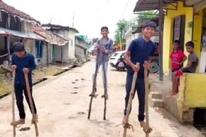 Hareli festival was celebrated with great pomp in Bemetara