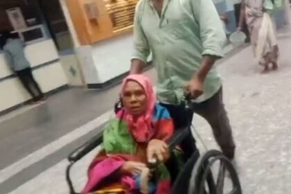 Kanker: Bear attacks 60-year-old woman sleeping at home