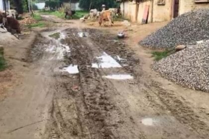 Korea: Roads of Budhar Panchayat are covered in potholes, claims of development exposed