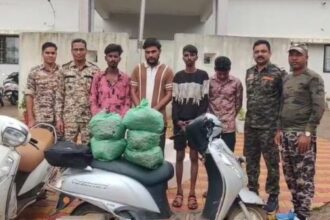 Kawardha: 4 interstate smugglers from Jabalpur arrested with 10 kg ganja