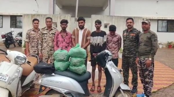Kawardha: 4 interstate smugglers from Jabalpur arrested with 10 kg ganja